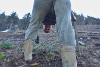 Názov súboru=DSC01297.JPG
Veľkosť súboru=201KB
Veľkosť=1024x683
Dátum pridania=17. Apríl 2016 DSC01297.JPG