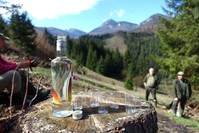 Názov súboru=DSC01337.JPG
Veľkosť súboru=176KB
Veľkosť=1024x683
Dátum pridania=17. Apríl 2016 DSC01337.JPG