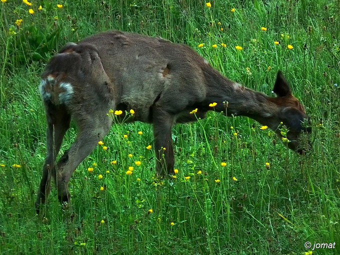 Kliknite pre zobrazenie veľkého obrázka