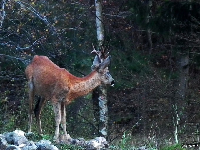 Kliknite pre zobrazenie veľkého obrázka