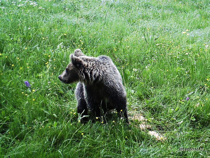 Kliknite pre zobrazenie veľkého obrázka