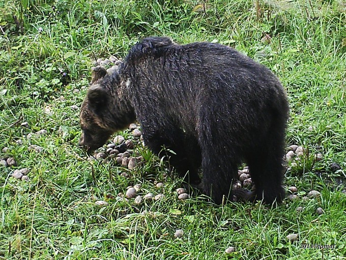 Kliknite pre zobrazenie veľkého obrázka