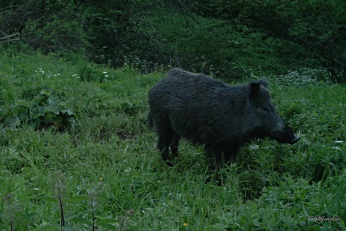 Kliknite pre zobrazenie veľkého obrázka