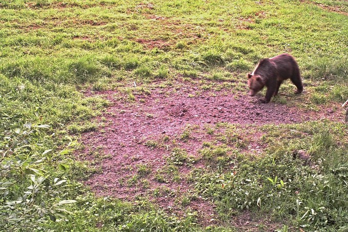 Kliknite pre zobrazenie veľkého obrázka