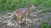 Názov súboru=IMAG0020-1.JPG
Veľkosť súboru=300KB
Veľkosť=1024x576
Dátum pridania=06. August 2016 IMAG0020-1.JPG