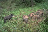 Názov súboru=PTDC0559.JPG
Veľkosť súboru=337KB
Veľkosť=1024x683
Dátum pridania=25. August 2016 PTDC0559.JPG