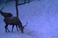Názov súboru=PTDC0596.JPG
Veľkosť súboru=116KB
Veľkosť=1024x683
Dátum pridania=25. December 2016 PTDC0596.JPG