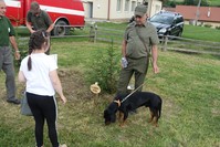 Názov súboru=DSC00081.JPG
Veľkosť súboru=249KB
Veľkosť=1024x683
Dátum pridania=25. Júl 2022 DSC00081.JPG