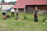 Názov súboru=DSC00084.JPG
Veľkosť súboru=262KB
Veľkosť=1024x683
Dátum pridania=25. Júl 2022 DSC00084.JPG