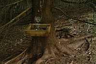 Názov súboru=PTDC0024.JPG
Veľkosť súboru=266KB
Veľkosť=1024x683
Dátum pridania=25. August 2018 PTDC0024.JPG