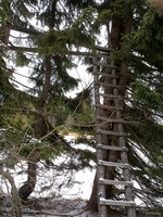 Názov súboru=DSC00134.jpg
Veľkosť súboru=361KB
Veľkosť=768x1024
Dátum pridania=17. Marec 2014 DSC00134.jpg