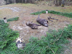 IMG-20211120-WA0012
