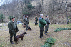 Spoločná poľovačka 26.11.2016