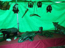DSC00071